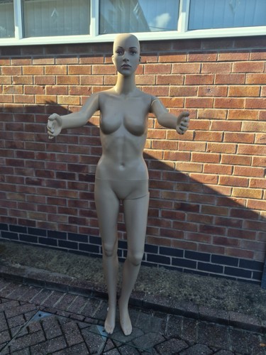 Woman mannequin display - woman,