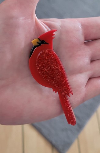 Red cardinal bird acrylic
