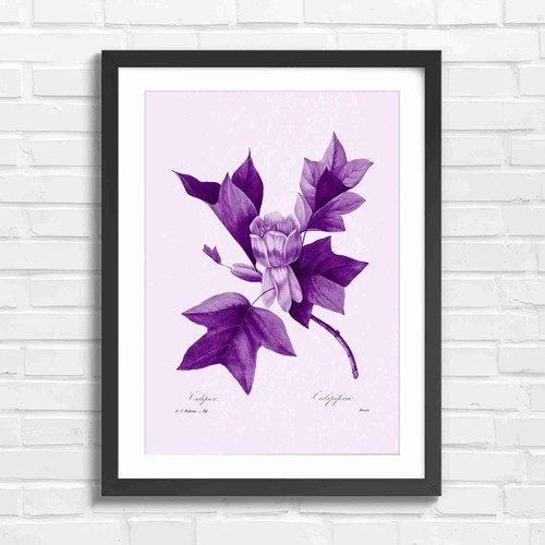 Vintage tulip tree botanical - tulip,