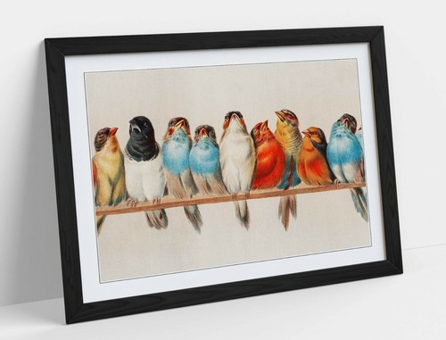 Birds perch vintage - birds,