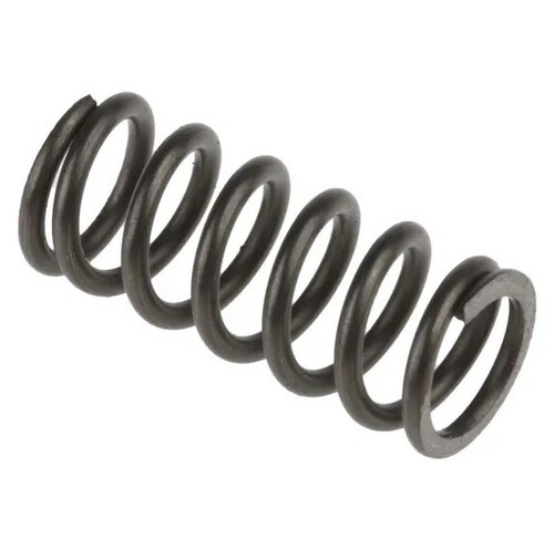 Rear coil spring - rear, fits