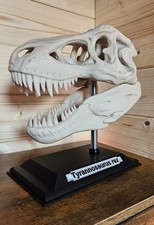 T-REX Skull Fossil Replica