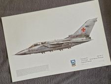 Squadron Print Tornado F.3
