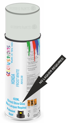 Aerosol spray paint for - spray,