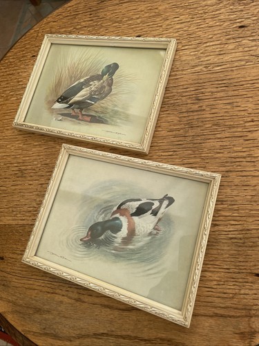 Vintage 1960s framed duck - vintage,