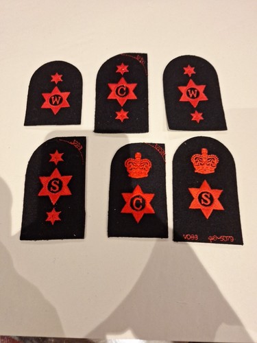 British royal navy - royal, steward
