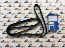 Primary Drive Belt for Range