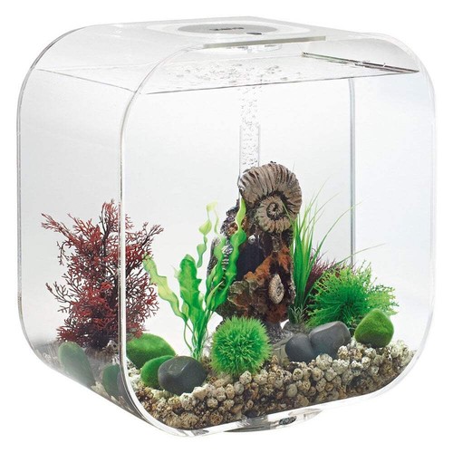 Biorb life aquarium fish - biorb, 30