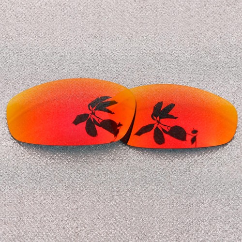 Expressreplacement polarized - expressreplacement,