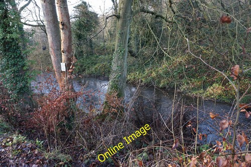 Photo 12x8 bentley brook - 12x8,
