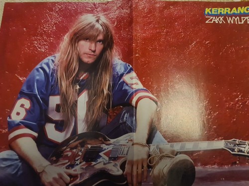 Vintage large zakk wylde - vintage,