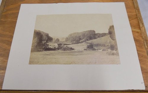 C1900 print short lithe - c1900, print//short
