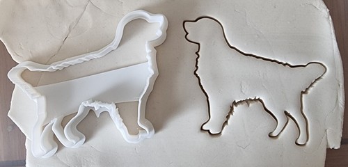 Golden retriever dog - retriever,