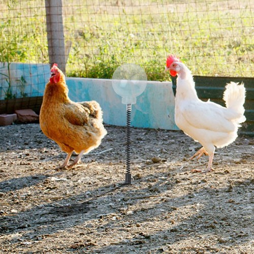 2pcs chicken treat dispenser - chicken,