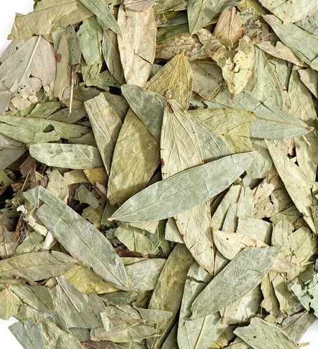 Senna leaf leaves dried - dried,