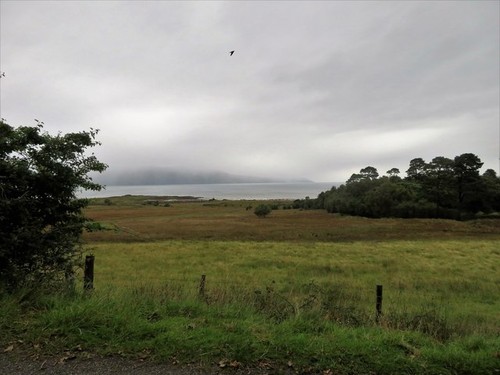 Photo kilpatrick grazing - a3,