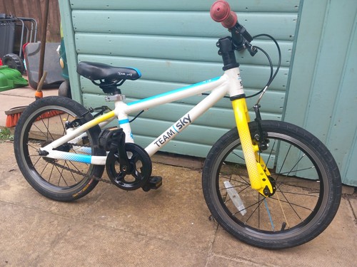 Frog kids bike team sky - frog,