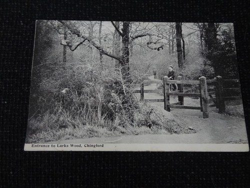 Entrance larks wood - larks,