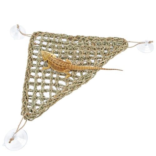 Bearded dragon hammock reptile - hammock,
