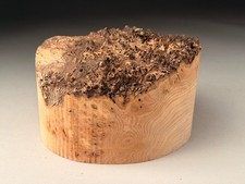 Live Edge Burr Elm Resin
