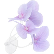  Fish Aquarium Accessories