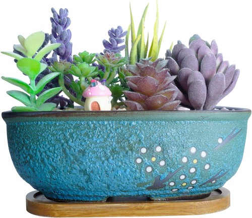Artketty ceramic succulent - artketty,