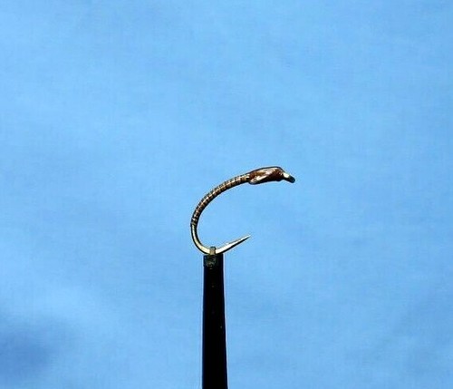 Skinny quilled buzzer fly - buzzer,