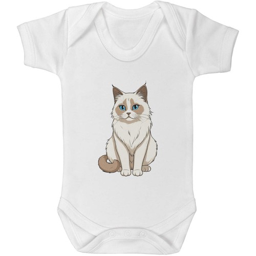 Birman cat baby - cat',