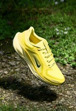 Nike Air ZM Pegasus 41 GTX