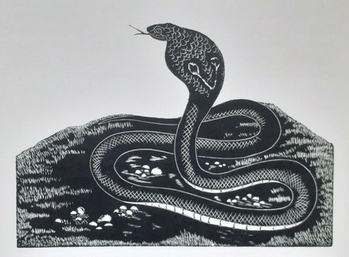 Daglish king cobra snake - king,