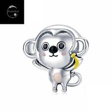 Sterling Silver 925 Charm