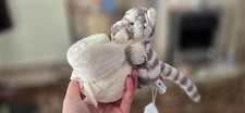Jellycat Bashful Snow Tiger