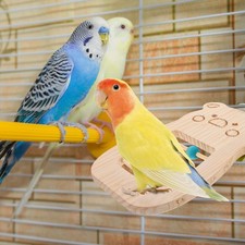 Parrot Play Stand Cage