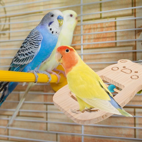 Parrot play stand - parrot,