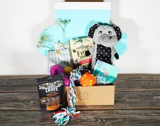 Dog Gift Box Hamper | Toys &