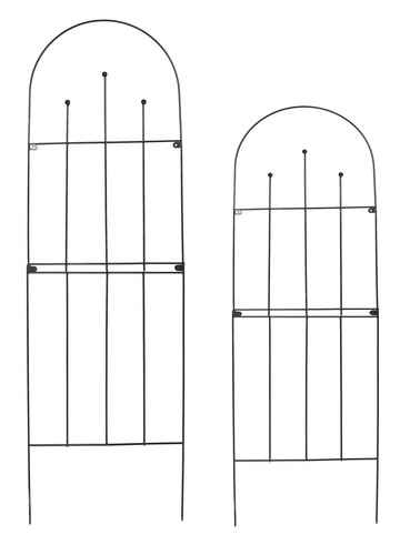 Climbing plant wall metal - plant,