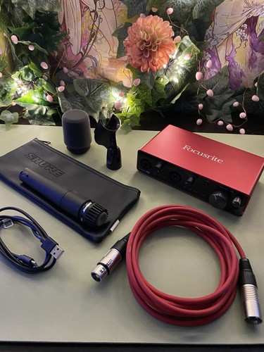 Shure sm57 microphone - shure,