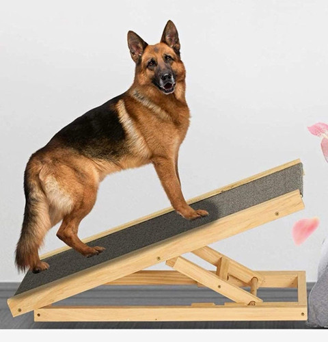 Adjustable wooden dog - adjustable, ramp