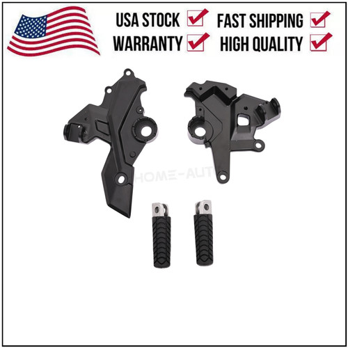 Driver rider footpeg mount - driver,
