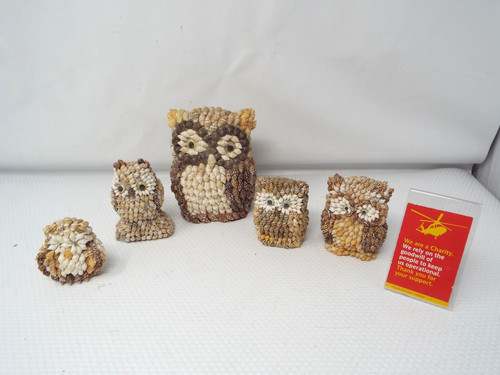 Owl seashell ornament - owl,