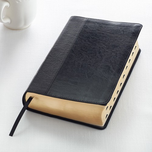 Kjv holy bible - holy, james