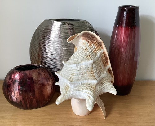 Conch shell good condition - good,