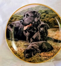 Franklin Mint Labrador
