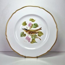 Vintage spode plate audubon - spode,