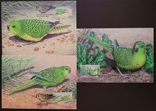 Australia 2024  / Birds -