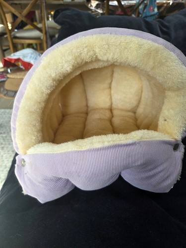 Kitten bed - kitten,