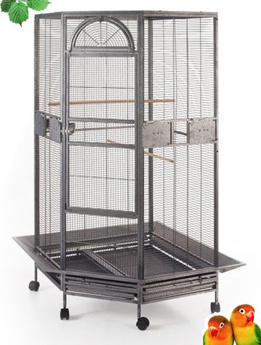 Large parrot escape - x-large,