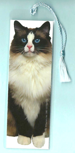 Ragdoll cat bookmark tuxedo - bookmark,