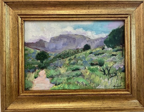 Big bend national - national, park