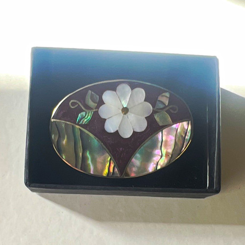 Oval mother pearl abalone - of,